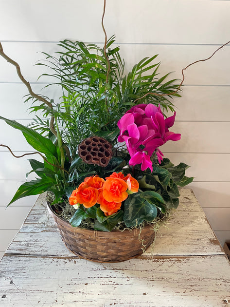 Plants & Blooming Gardens - Flower Delivery Maple Grove, Plymouth, Twin ...